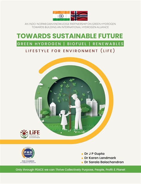 Buy Towards Sustainable Future: Green Hydrogen| Biofuel|Renewables Book ...