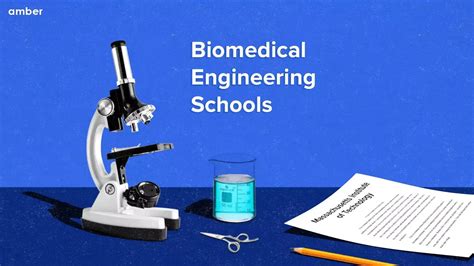 Best Biomedical Engineering Schools 2025 | Amber