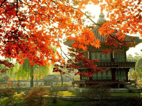 Seoul South Korea Wallpapers - Wallpaper Cave