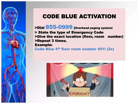 Image result for 2 Code Blue