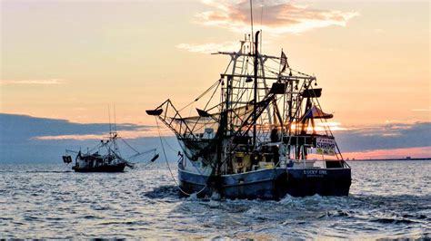 What is shrimp trawling? North Carolina fisherman explains | Raleigh ...
