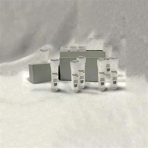 Cyanine Smart Pack dCTP | Revvity