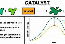 Image result for catalysts