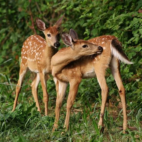 Kay Carlson posted on LinkedIn