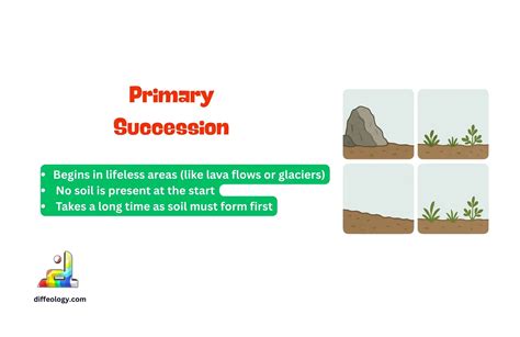 Image result for Primary Succession Examples