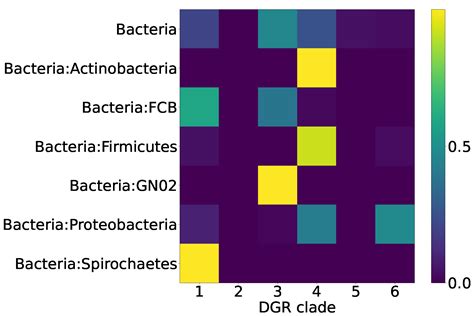 Diversity-Generating Retroelements in Prokaryotic Immunity