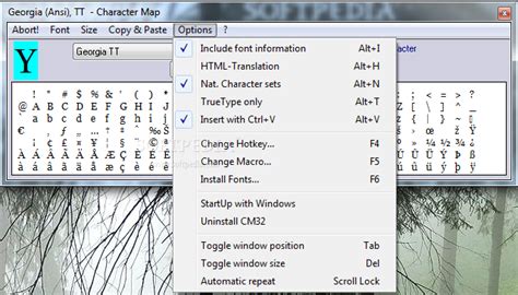 Image result for Using Character Map