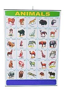 CRAFTWAFT WALL HANGING ANIMALS ROLLING CHART (24X30 INCH) : Amazon.in ...