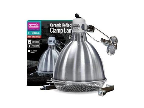 Ball Python Collection 的图像结果