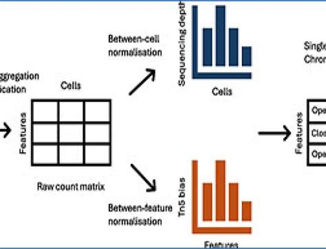 Single-cell RNA-seq 的图像结果