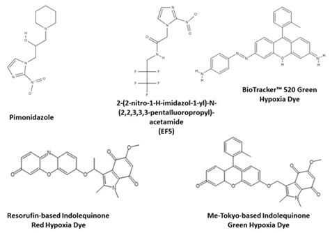 Flow Cytometry of Oxygen and Oxygen-Related Cellular Stress