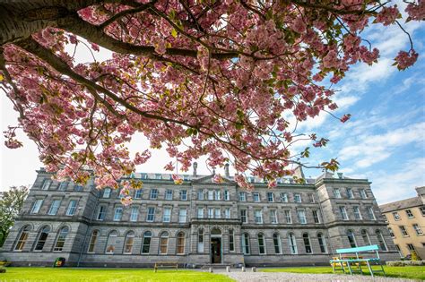 Dublin City University: Admissions, Ranking, Acceptance Rate, Courses ...