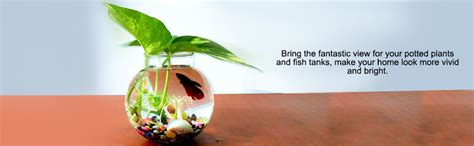 Schmick 2 Kg Multi-Color Pebbles for Decoration - Pebbles for Plants ...