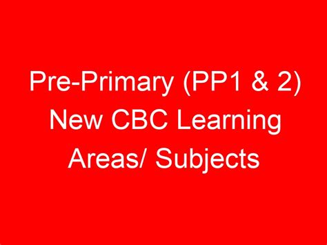 PP1 Learning 的图像结果