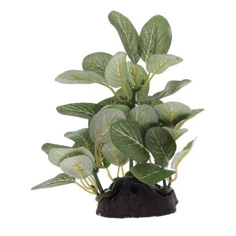 Buy Terrarium Plant Bearded ,Lizards,Geckos, Reptile Habitat Type 2 ...