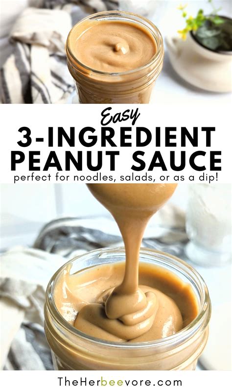 Easy Peanut Satay Sauce Recipe
