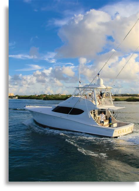 Gyro Marine 的图像结果