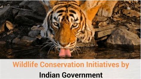 describe various projects of wild life protection ? - Brainly.in