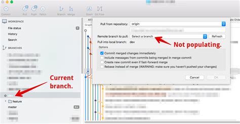 Source Tree Pull Push Example 的图像结果