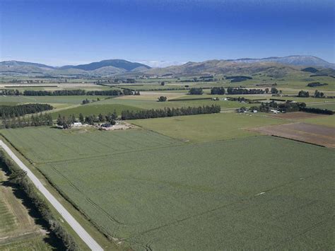 Image result for Springfield NZ