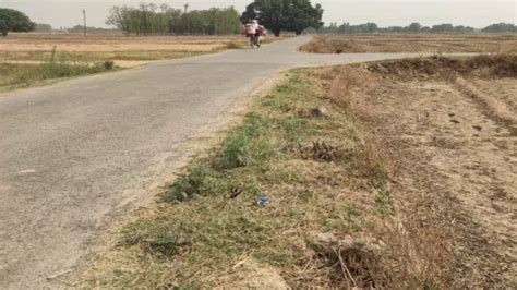 वृहद पौधारोपण अभियान के तहत खोदे जाने थे गड्ढे, कागज में पूरे लेकिन ...