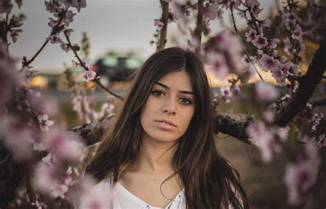 Image result for Pregnancy Testing