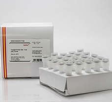 Buy Fungal Primer Set - Full (25)-692300251730 692300251730 in India ...