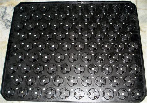 Vacuum Packing Tray Process 的图像结果