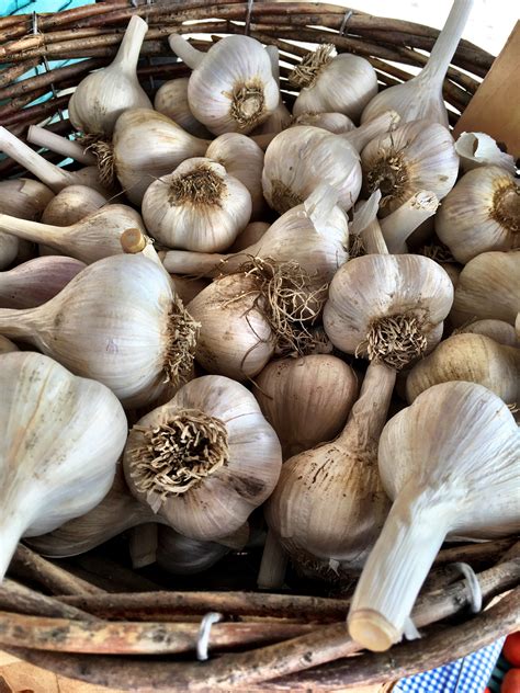 A Stroll Through the Hudson Farmers Market - Ted Kennedy Watson