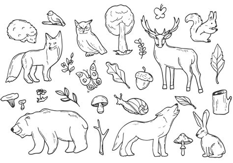 Woodland Animals Clip Art Black And White