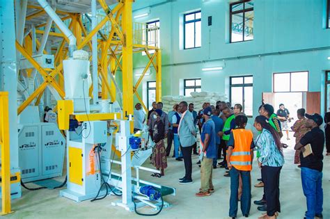 Image result for Maize Processing