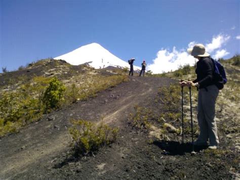 Patagonia Southern Land Expeditions (Puerto Varas) - 2022 What to Know ...