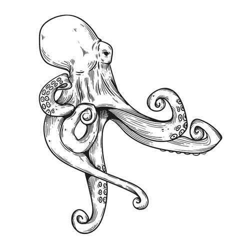 Octopus line art Images - Free Download on Freepik