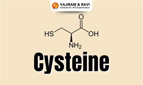 Cysteine, Structure, Treatment, Importance, Latest News