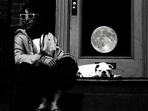 Moon Dog | Smithsonian Photo Contest | Smithsonian Magazine