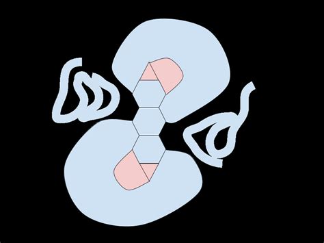 Image result for Clockwise vs Counterclockwise