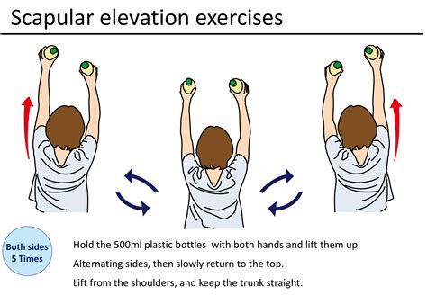 Horizontal Abduction Movement of the Shoulder Joint | Physio Visuals ...