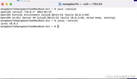 Configuring Java in Mac M1 的图像结果