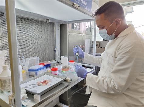 Institutional Biotech Hub | Chaiduar College