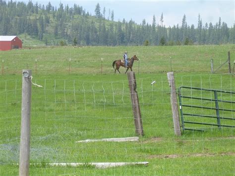 Image result for Spring Plowing