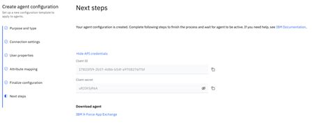 Agent Web Client 的图像结果