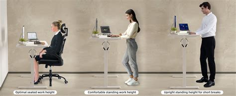 Sunon Electric Standing Desk Adjustable Height Sit Stand Home Office ...