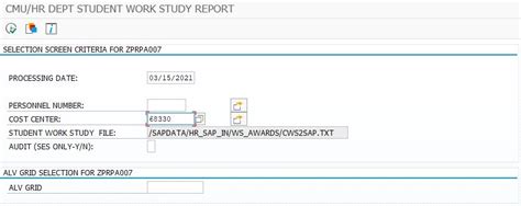 Image result for Work Study Report