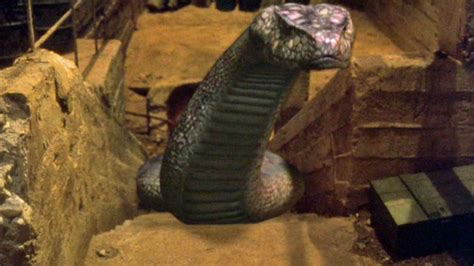 Image result for Python Movie Cast