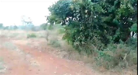 1 Acre Agricultural/Farm Land for Sale in Murbad MIDC, Thane - by Shree ...