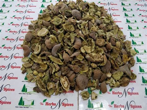 Oil Seeds - Safflower Oil Seeds Manufacturer from Neemuch