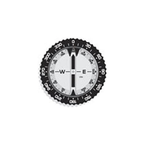 Image result for Blue Compass Module