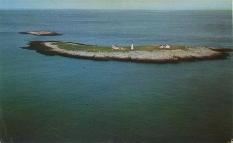 Machias Seal Island Light Postcard : Free Download, Borrow, and ...