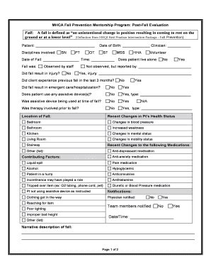 MHCA Fall Prevention Mentorship Program: Post-Fall Evaluation ...