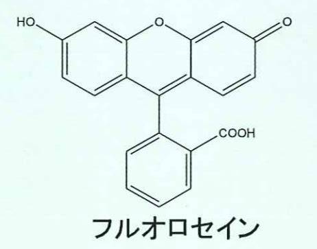 Image result for Graphical Method of Solving Linear Programming Problems with Objective Function